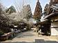 Dsc00112.jpg
