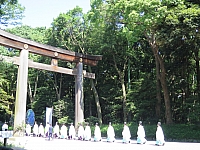 Iwama 2013