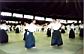 Image-04.jpg