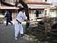 dsc00109.jpg
